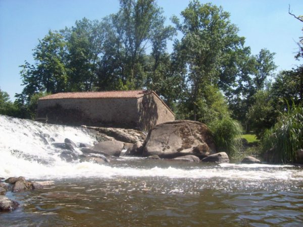 Canoë - Kayak 1 heure – Image 8